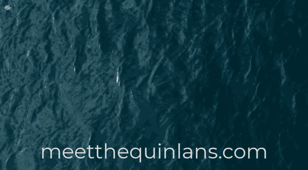 meetthequinlans.com