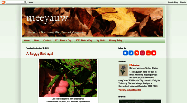 meeyauw.blogspot.com