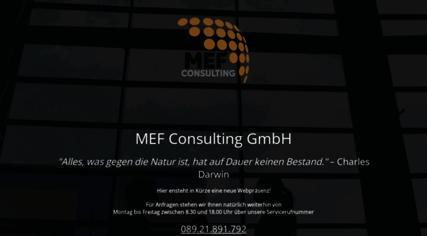 mef-consulting.de