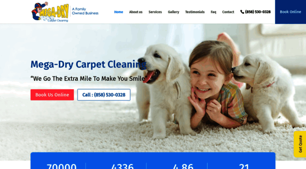 megadrycarpetcleaning.com