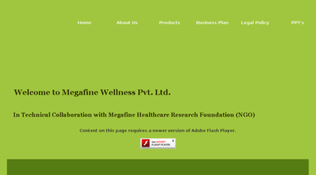 megafinewellness.com