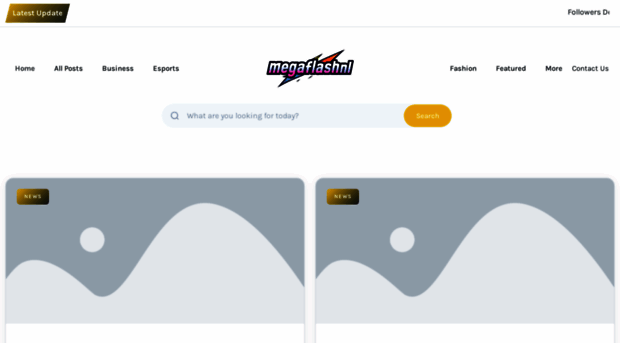 megaflashz.nl