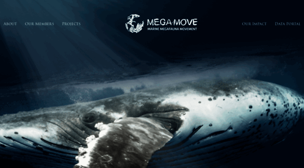 megamove.org