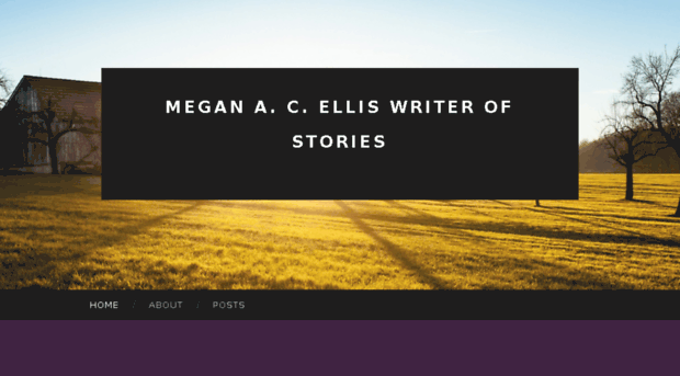 meganacelliswriterofstories.wordpress.com