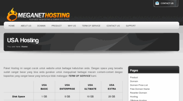 meganet-hosting.net