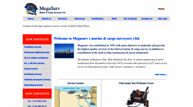 megasurv.com