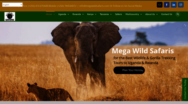 megawildsafaris.com