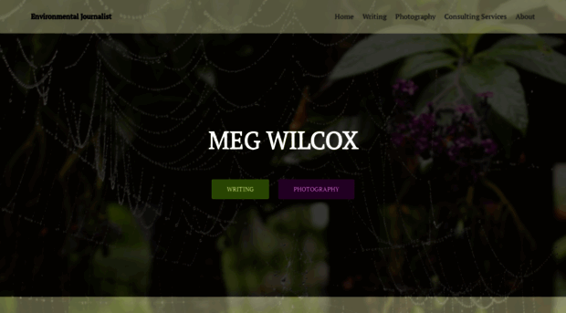 megwilcoxcommunications.com