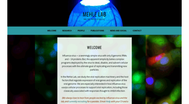 mehlelab.com