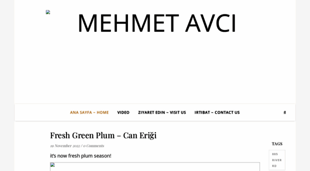 mehmetavci.net