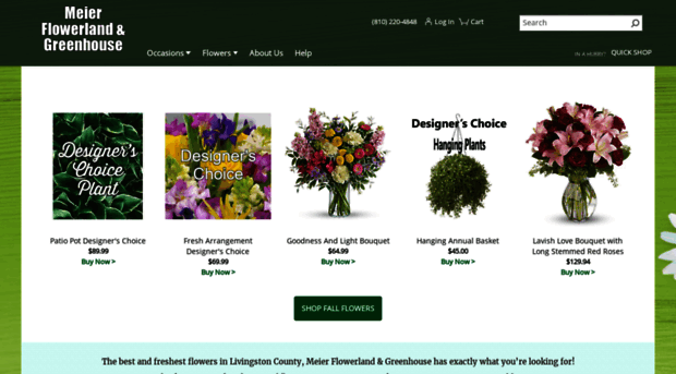 meierflowerlandflorist.com