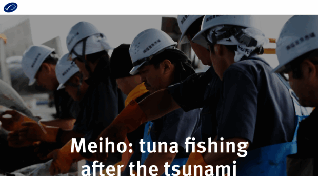 meiho-tuna-stories.netlify.com
