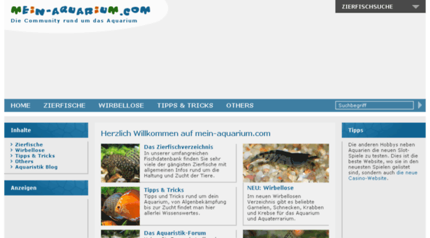 mein-aquarium.com