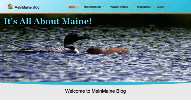 meinmaine.com