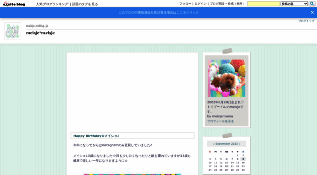 meisje.exblog.jp