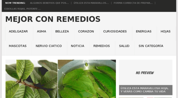 mejorconremedios.net