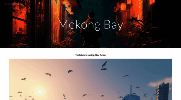 mekongbay.com