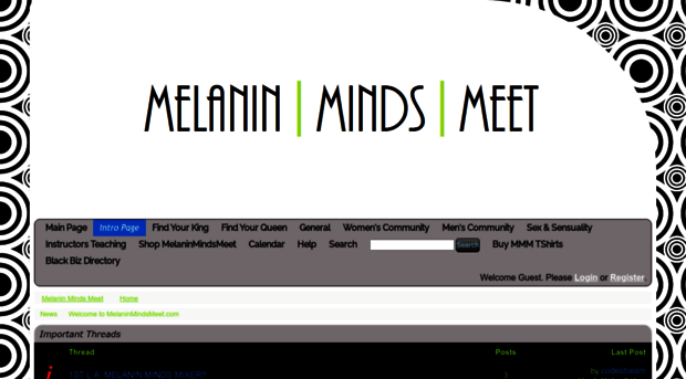 melaninmindsmeet.com