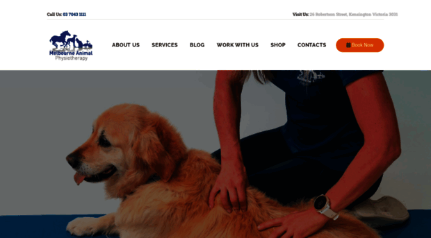 melbourneanimalphysiotherapy.com.au