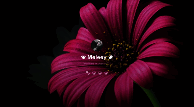 meleeyxo.wordpress.com