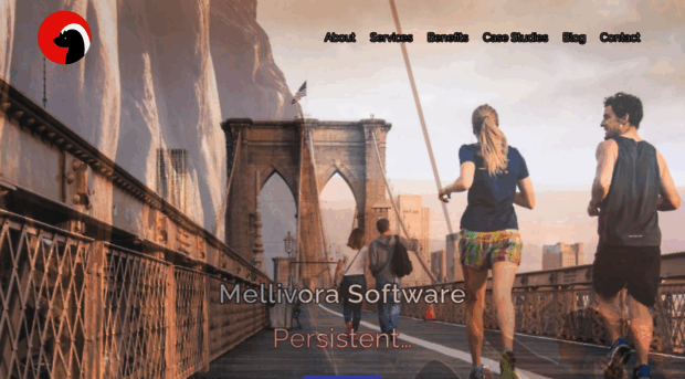 mellivorasoft.com