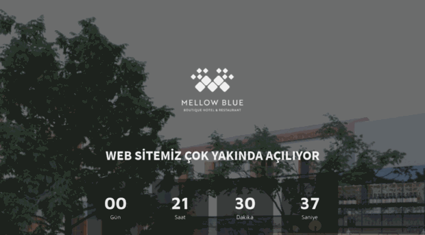 mellowbluehotel.com