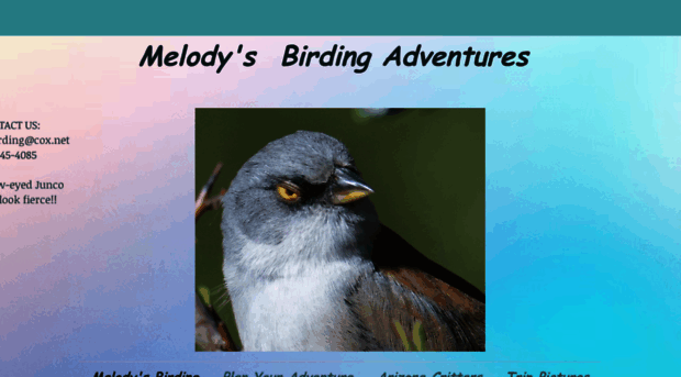 melodysbirding.com