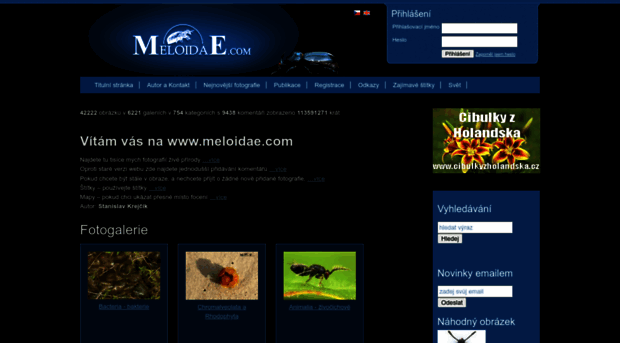 meloidae.com