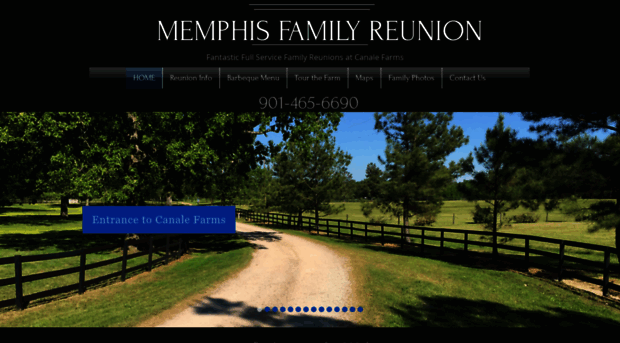 memphisfamilyreunion.com