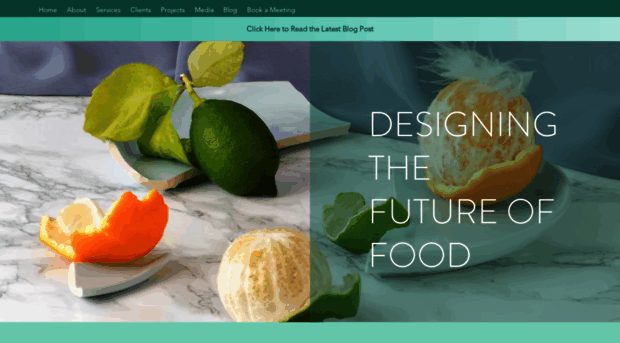 mendocinofoodconsulting.com