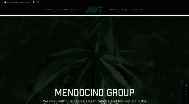 mendocinogroup.com