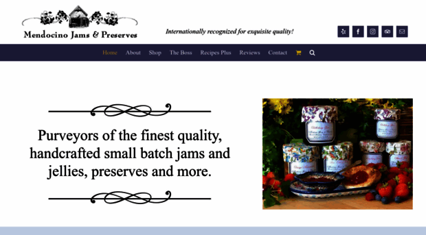 mendocinojams.com