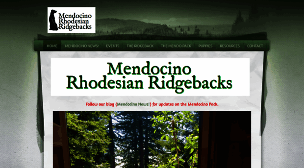 mendocinorr.com