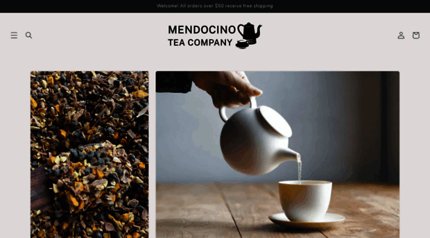 mendocinotea.com