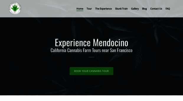 mendoexperience.com