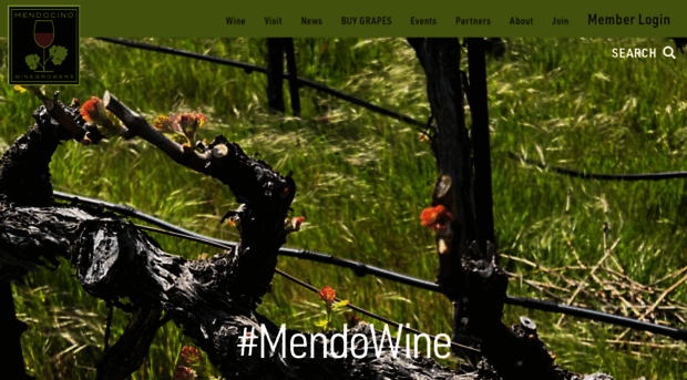 mendowine.com