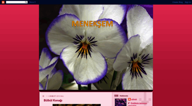 meneksem80.blogspot.com
