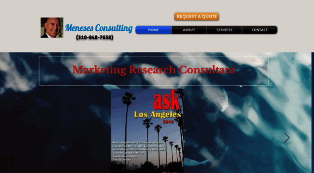 menesesconsulting.com