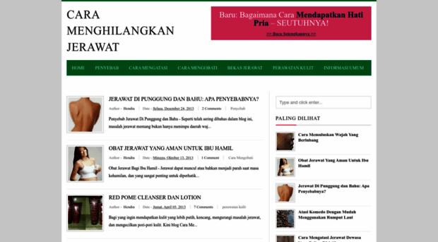 menghilangkan-jerawat-alami.blogspot.com