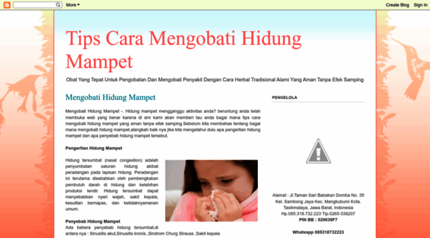 mengoabtihidungmampet.blogspot.com