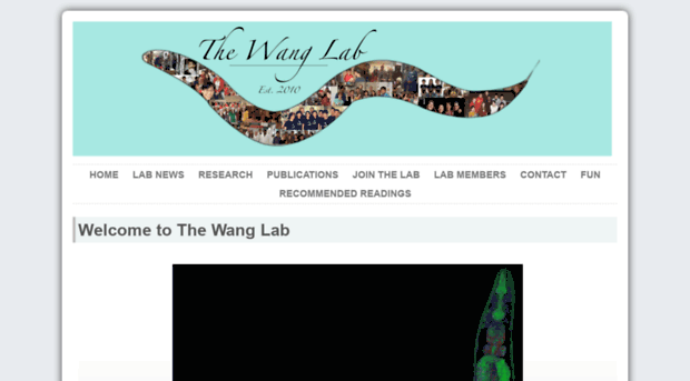 mengwanglab.org