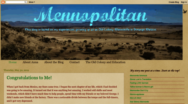 mennopolitan.com