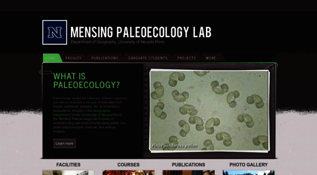 mensinglab.weebly.com