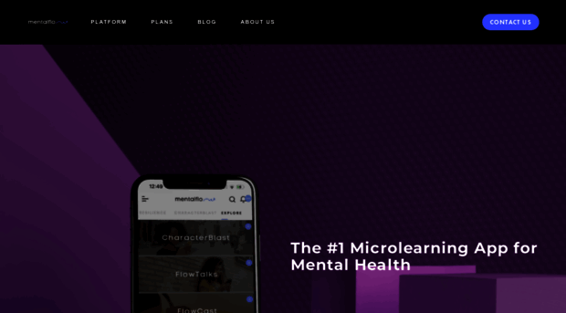 mentalflow.co