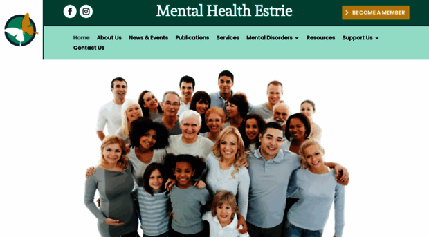 mentalhealthestrie.com