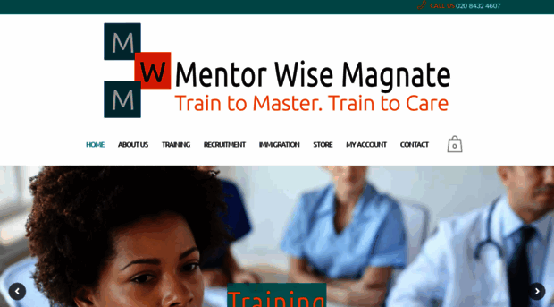 mentorwisemagnate.com