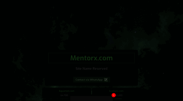 mentorx.com