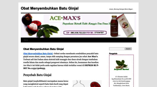 menyembuhkanbatuginjal.wordpress.com