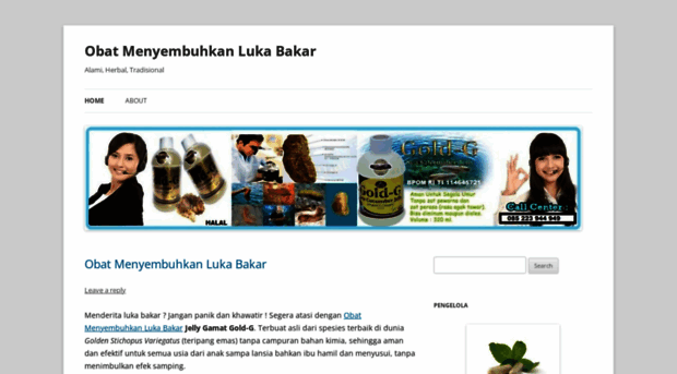 menyembuhkanlukabakar.wordpress.com