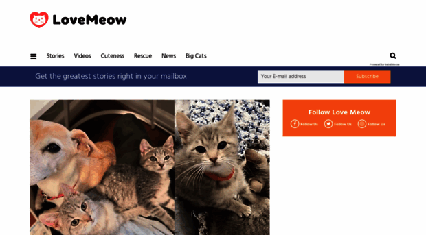 meowfamily.com